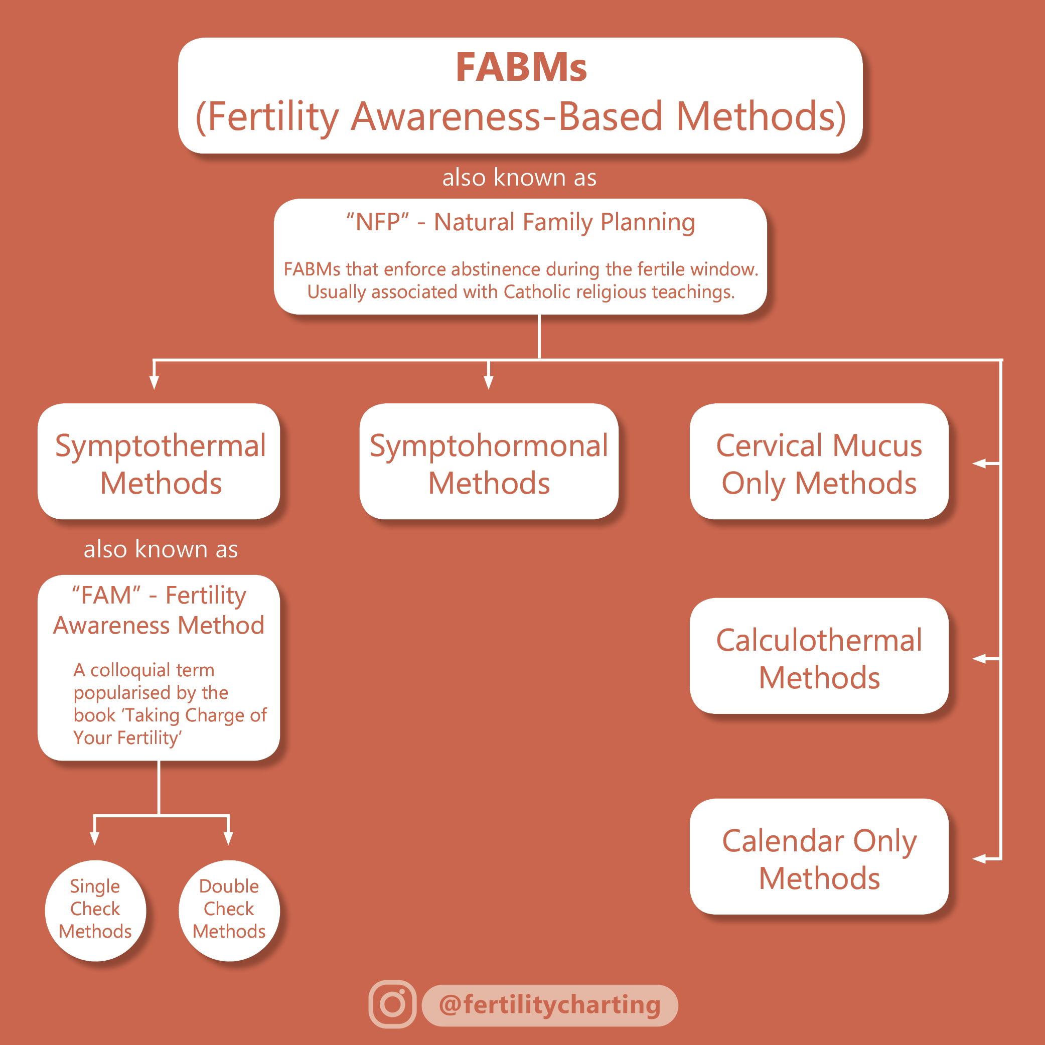 Natural Birth Control with Fertility Awareness Methods {FAM}