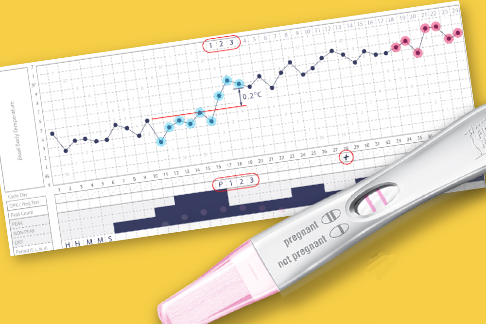 Trying For A Baby? Why You Should Chart Your Cycles
